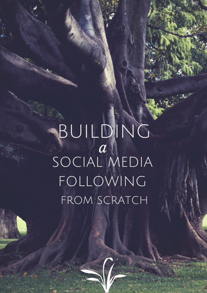 Ronn Torossian Social Media Growth ronn-torossian-social-media